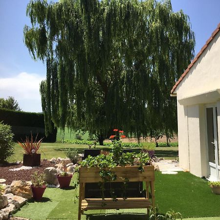 Cadalen Domaine De La Vigne Bed & Breakfast エクステリア 写真