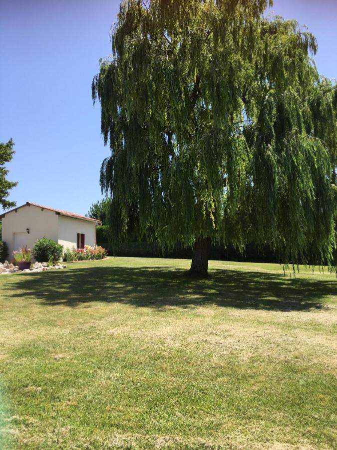 Cadalen Domaine De La Vigne Bed & Breakfast エクステリア 写真